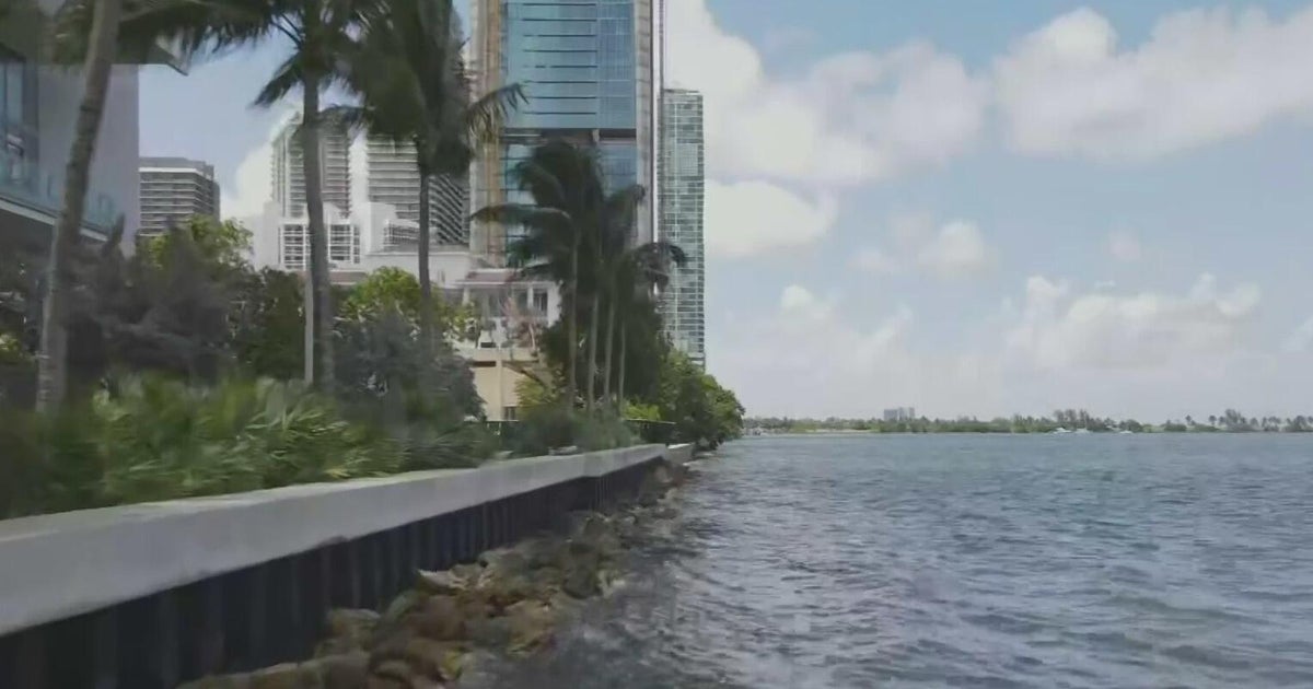 Biscayne Bay's health is still "in danger" despite report showing slight improvement, officials say
