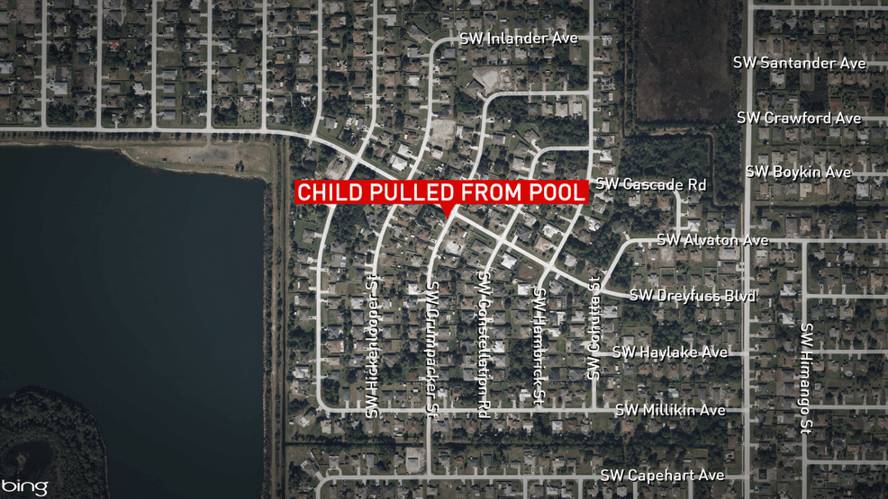 A toddler was airlifted to a hospital and remains in critical condition after being found submerged in a Port St. Lucie pool. (WPEC)