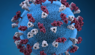 Florida reports 2 measles cases in Orange County: Symptoms, how it spreads