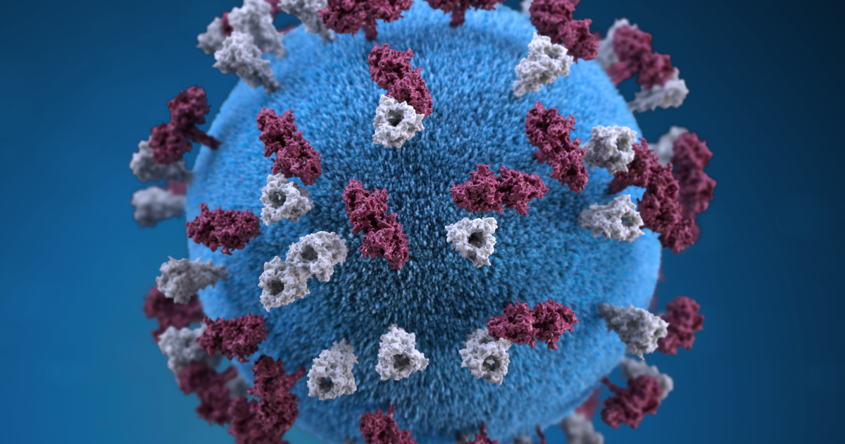 Florida reports 2 measles cases in Orange County: Symptoms, how it spreads