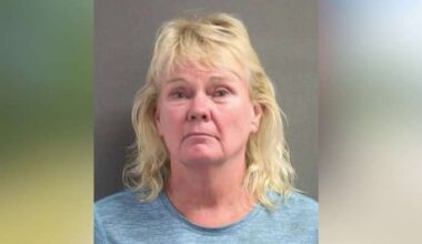 Florida woman accused of roadway wasp spray attack