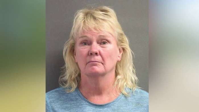 Florida woman accused of roadway wasp spray attack
