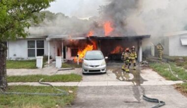 Dog, rabbits, bearded dragon rescued after Fort Lauderdale house fire