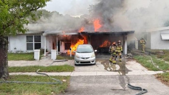 Dog, rabbits, bearded dragon rescued after Fort Lauderdale house fire