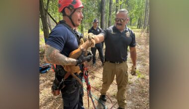 Missing Florida dog rescued from 40-foot sinkhole reunites with family