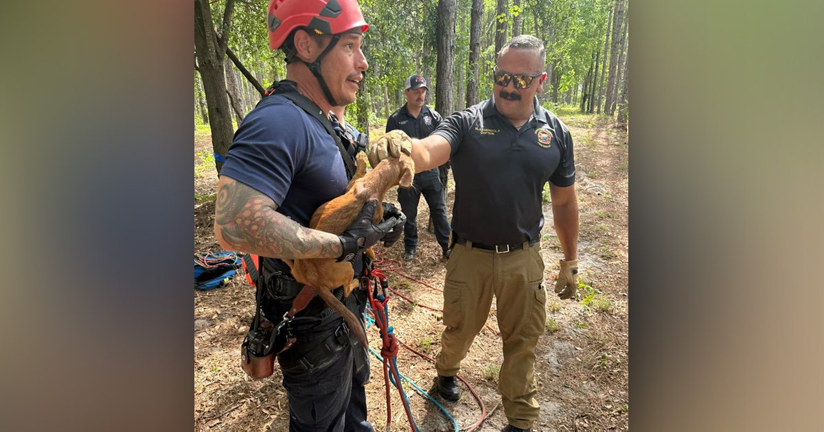 Missing Florida dog rescued from 40-foot sinkhole reunites with family