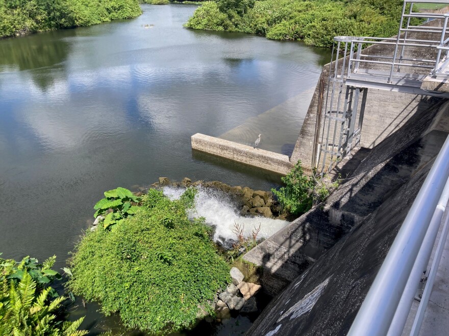water flowing underneath a dam