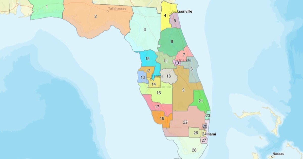 Judge rules Florida's new congressional map will remain intact ahead of midterms
