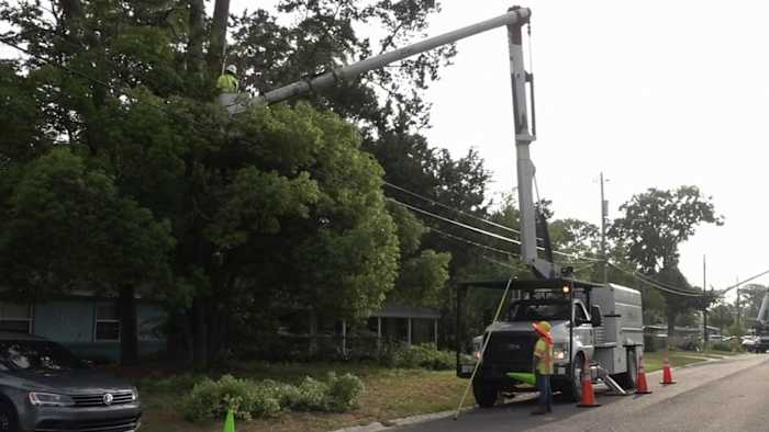 Hurricane season prep: JEA urges Jacksonville customers to trim trees, build supply kits