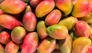 Zak The Baker’s Mango Trade Returns to Miami: How to Swap Mangoes for Bread
