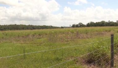 Winter Garden commission approves controversial 300-acre development proposal