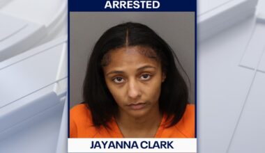 Woman faces vehicular homicide, child neglect charges in Oldsmar crash that killed 6-year-old: PCSO