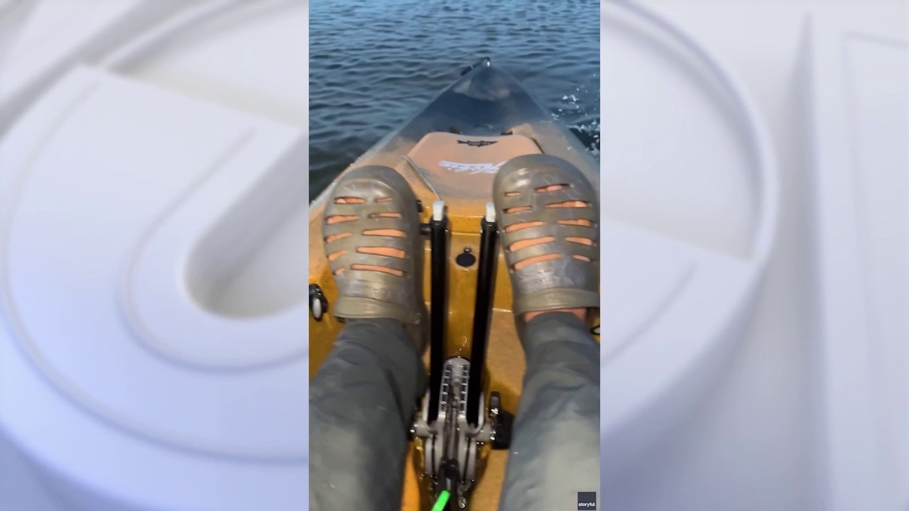 Bull shark attacks fisherman's kayak