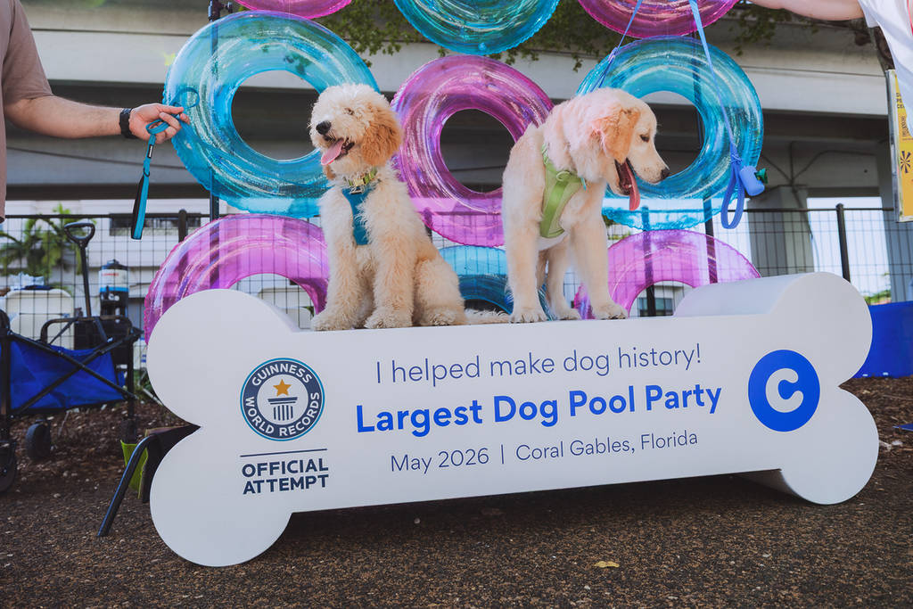 2 Dogs Making Dog History