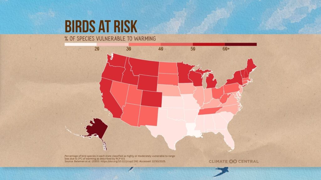 Birds at risk: Percentage of species vulnerable to warming by state (Climate Central graphic)