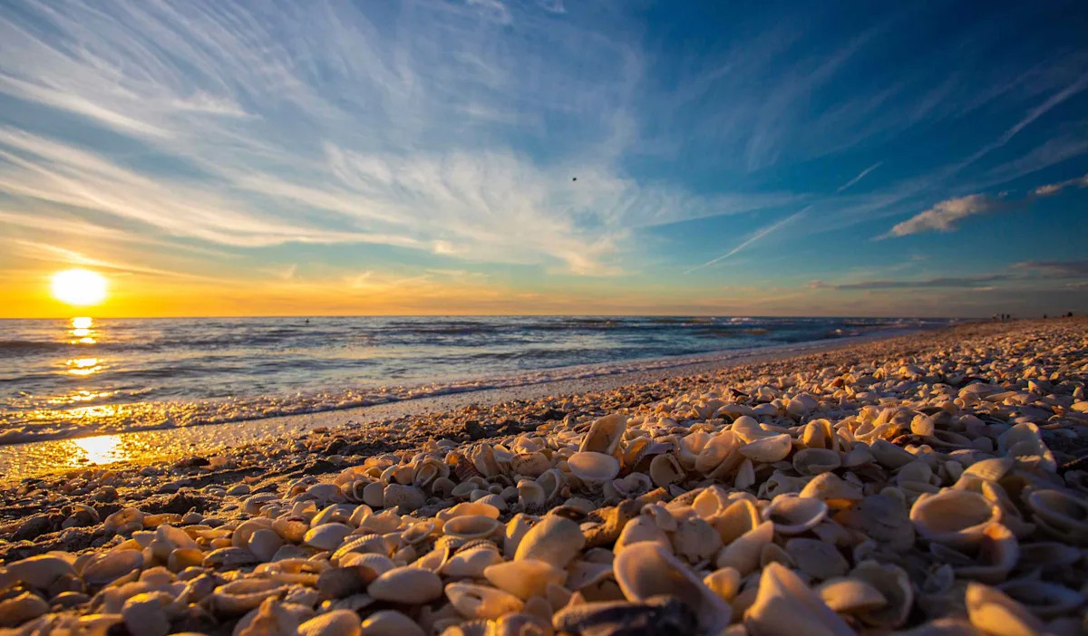 6 Florida Beaches With The Best Shelling—And Barely Any Crowds