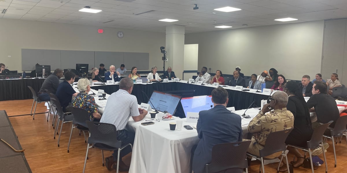 Leon Co. Charter Review Committee advances historical harms amendment