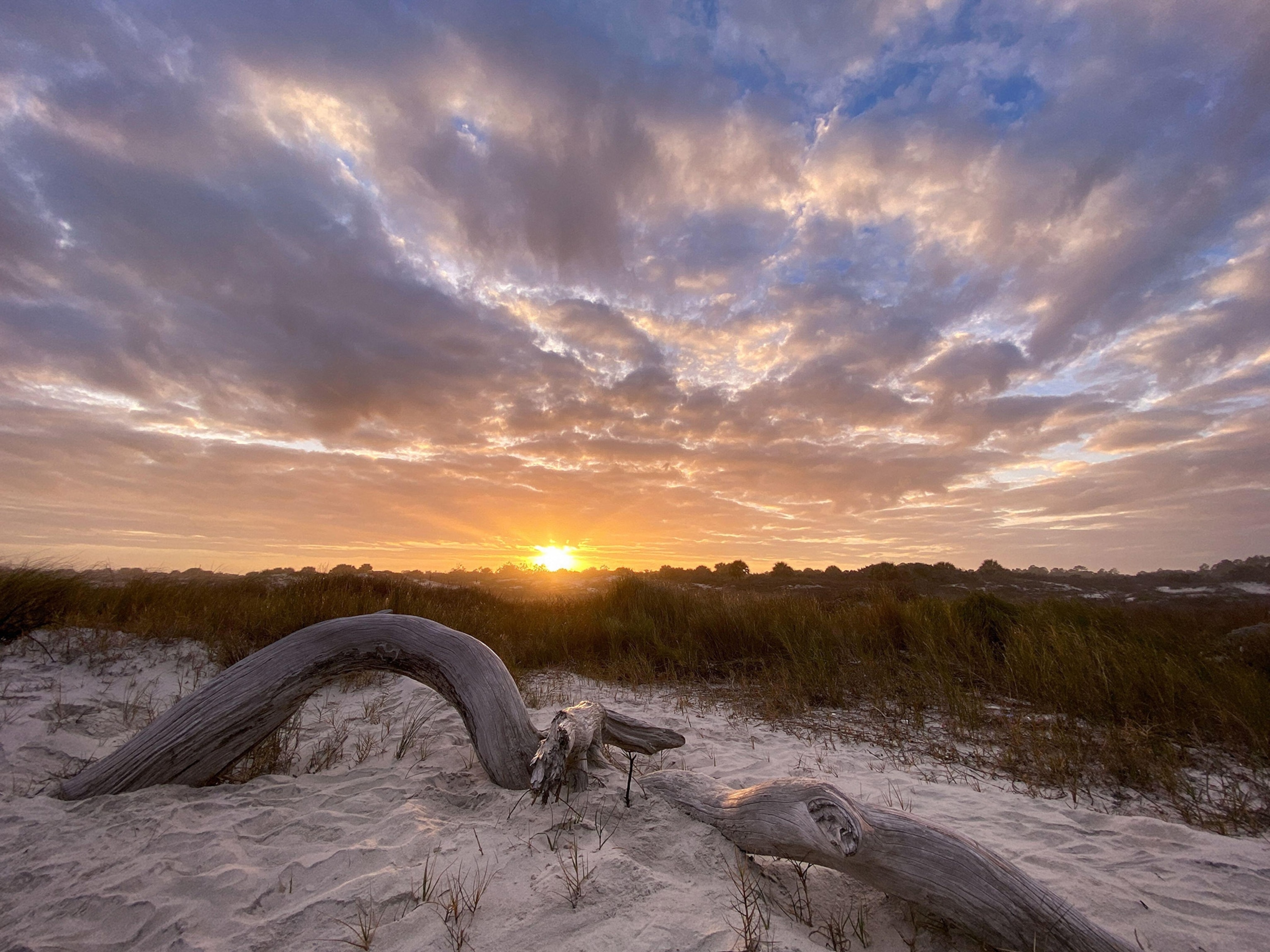 A dramatic cloudy sky is lit by a low sun setting, sandy beach and driftwood in foreground, tall grasses behind