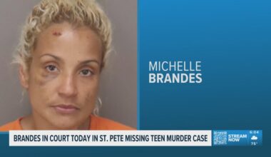 Michelle Brandes appears in Pinellas Court on Tuesday