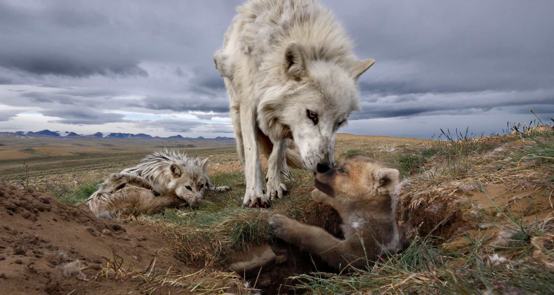 Tracing The career path of acclaimed photographer with exhibit in St. Pete: from outdoorsy Vermont kid to outdoorsy Montana man