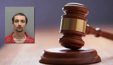 Cape Coral man pleads no contest to punching girlfriend's cat, gets 180 days in jail