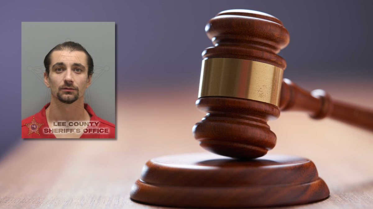 Cape Coral man pleads no contest to punching girlfriend's cat, gets 180 days in jail