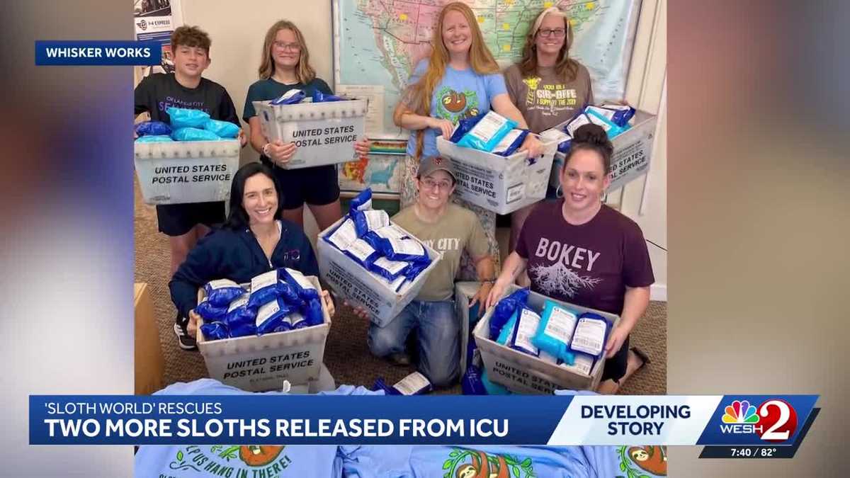 Community rallies to help 9 surviving sloths at Central Florida Zoo