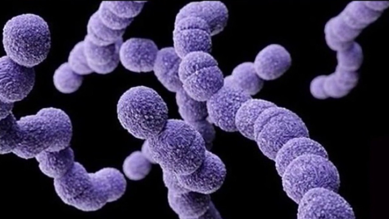 Vibrio Vulnificus: How to Protect Against Flesh-Eating Bacteria