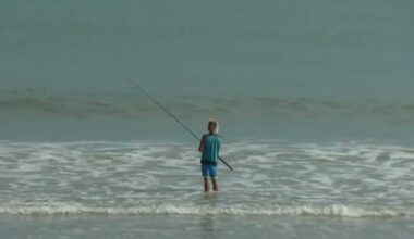 Florida reinstates online fishing licenses ahead of red snapper season