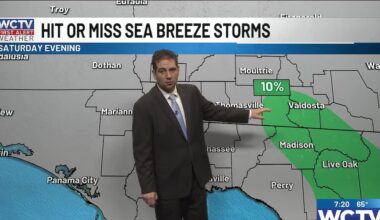A summer-like weekend is ahead for Tallahassee, the Big Bend and South Georgia😎🌡️