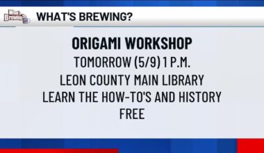 What’s Brewing - Origami Workshop