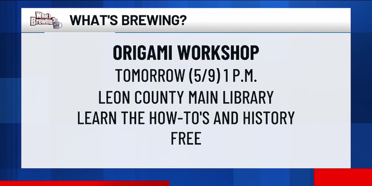 What’s Brewing - Origami Workshop