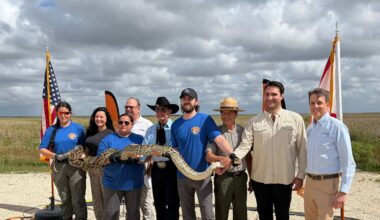 Registration opens for 2026 Florida Python Challenge