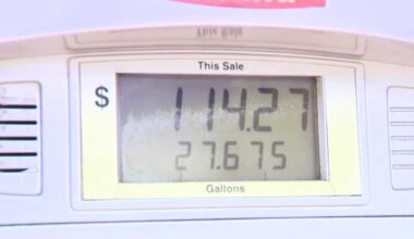 Federal and Florida lawmakers consider eliminating gas taxes