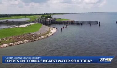 Experts explain South Florida's biggest water issue