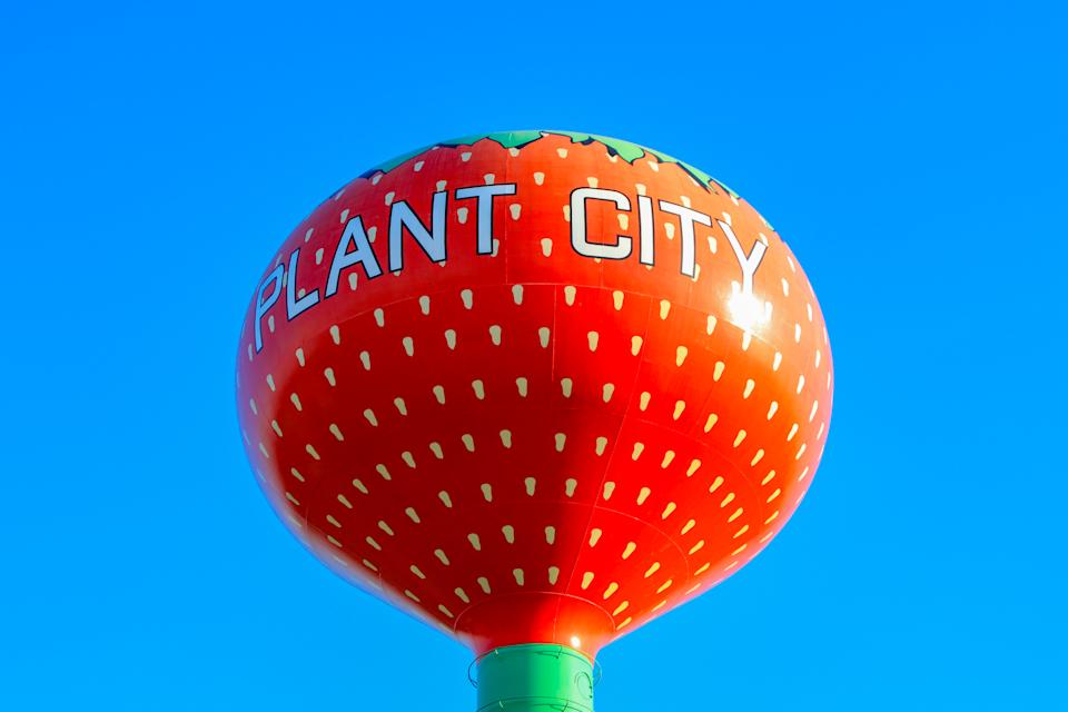 Water Tower in Plant City and at Otis M. Andrews Sports Complex