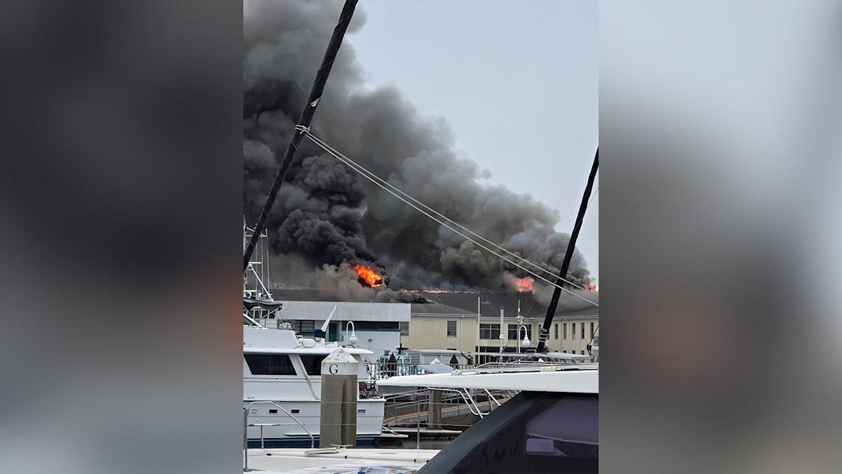 Crews battle fire at building on USF St. Pete campus