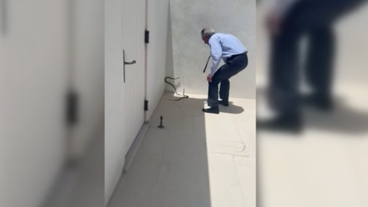 RFK Jr. posts video of himself wrangling snakes in Florida