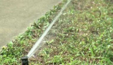 Cape Coral eases water restrictions as aquifer levels improve