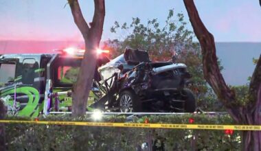 Man killed in Doral crash after hitting tree, police say – NBC 6 South Florida