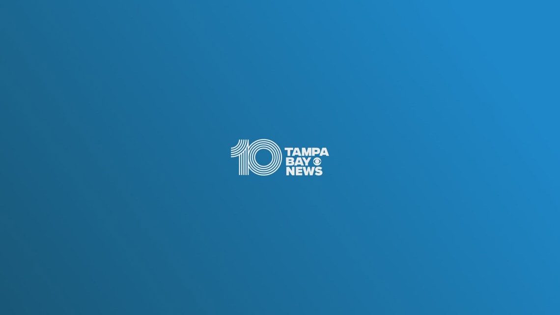10 Tampa Bay News at 8:00 am
