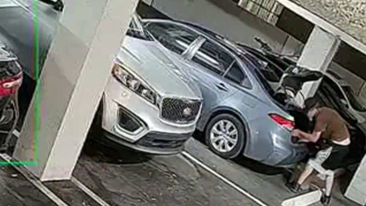 Man with lengthy criminal record wanted in South Miami car burglary, cops say – NBC 6 South Florida