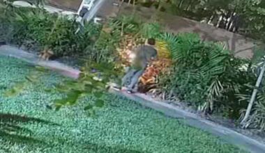 Video shows alleged repeat arsonist start fire in North Miami Beach, cops say – NBC 6 South Florida