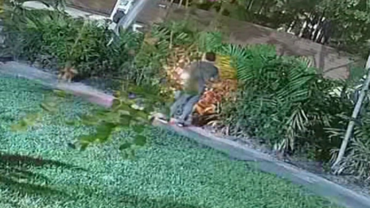 Video shows alleged repeat arsonist start fire in North Miami Beach, cops say – NBC 6 South Florida