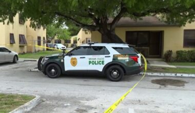 Child shoots himself with mother’s gun inside Miami-Dade home – NBC 6 South Florida