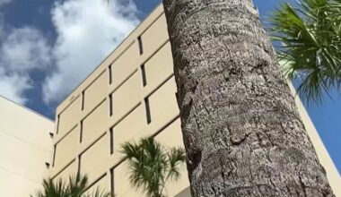 Miami-Dade commissioners discuss long-delayed mental health facility – NBC 6 South Florida