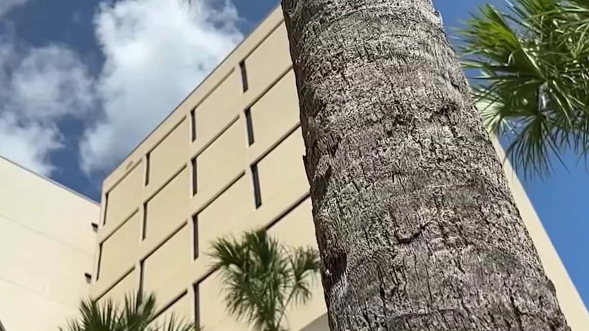 Miami-Dade commissioners discuss long-delayed mental health facility – NBC 6 South Florida