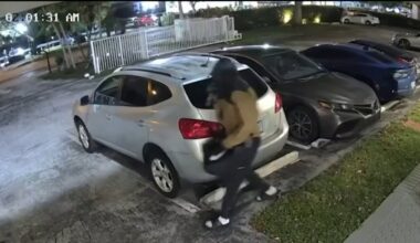 Surveillance shows masked thieves burglarizing 19 cars in northeast Miami-Dade – NBC 6 South Florida
