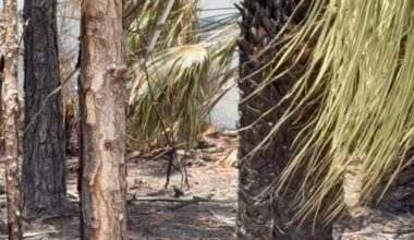 Smoke still visible after 25-acre brush fire in Southwest Miami-Dade – NBC 6 South Florida