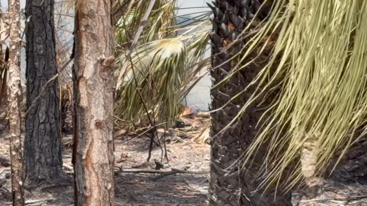 Smoke still visible after 25-acre brush fire in Southwest Miami-Dade – NBC 6 South Florida